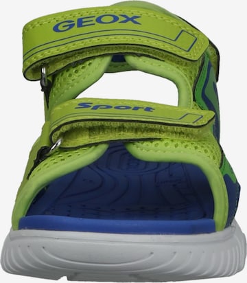 Chaussures ouvertes GEOX en vert