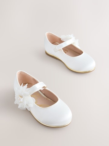 Baker by Ted Baker Ballerina's in Wit