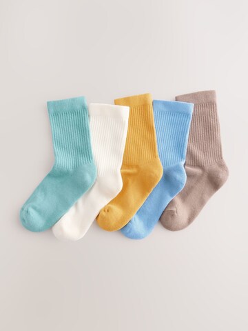 Chaussettes Next en mélange de couleurs