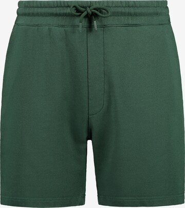 Shiwi Regular Broek in Groen: voorkant