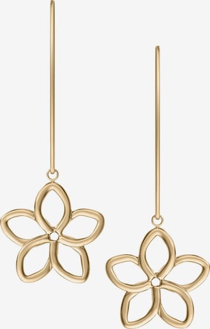SKAGEN Ohrringe in Gold: Vorderseite