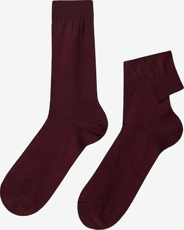 CALZEDONIA Socks in Red: front