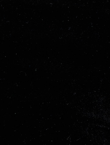 Koton Shirt in Black