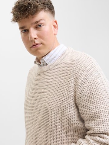 Jack & Jones Plus Свитер 'JJGLOBAL' в Бежевый