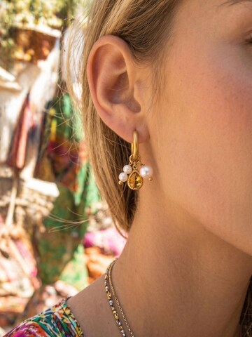 Nemomatheo Earrings 'Miele Huggie' in Gold