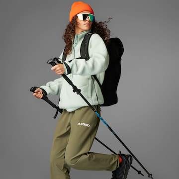 Regular Pantalon outdoor 'Lifeflex' ADIDAS TERREX en vert