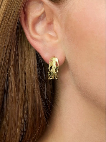 Orecchini di Jane Kønig in oro: frontale
