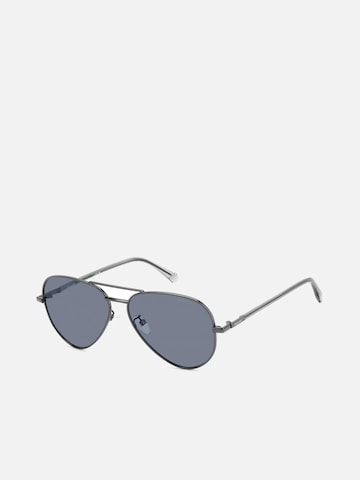 Polaroid Sunglasses in Silver