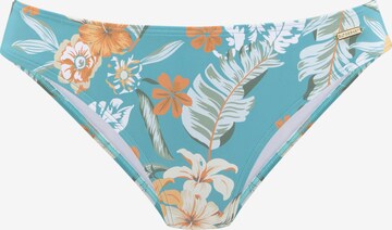 SUNSEEKER - Braga de bikini en azul: frente