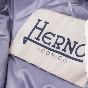 Herno Jacket & Coat in M in Purple