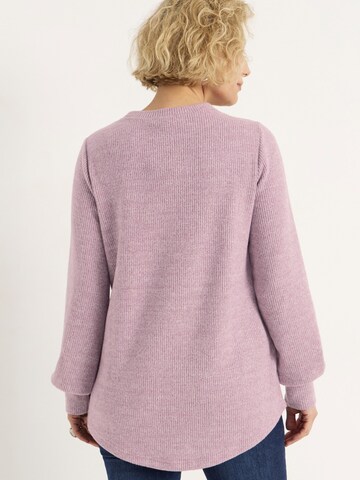 Cellbes of Sweden Sweater in Pink
