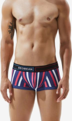 SEOBEAN Boxershorts in Blau: Vorderseite