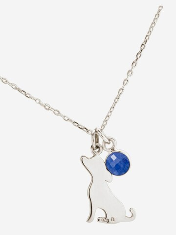 Gemshine Ketting in Zilver