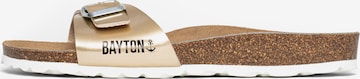 Bayton Šľapky 'Zephyr' - Béžová: predná strana
