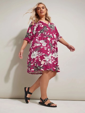 Stil Diva Dress in Pink