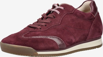 GABOR Sneakers laag in Rood: voorkant
