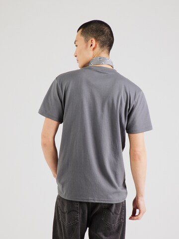 Maglietta 'SEASONAL' di HOLLISTER in grigio