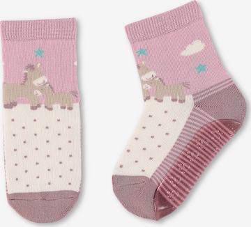 STERNTALER Socks in Pink: front