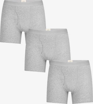 Albero Natur Boxer shorts in Grey: front