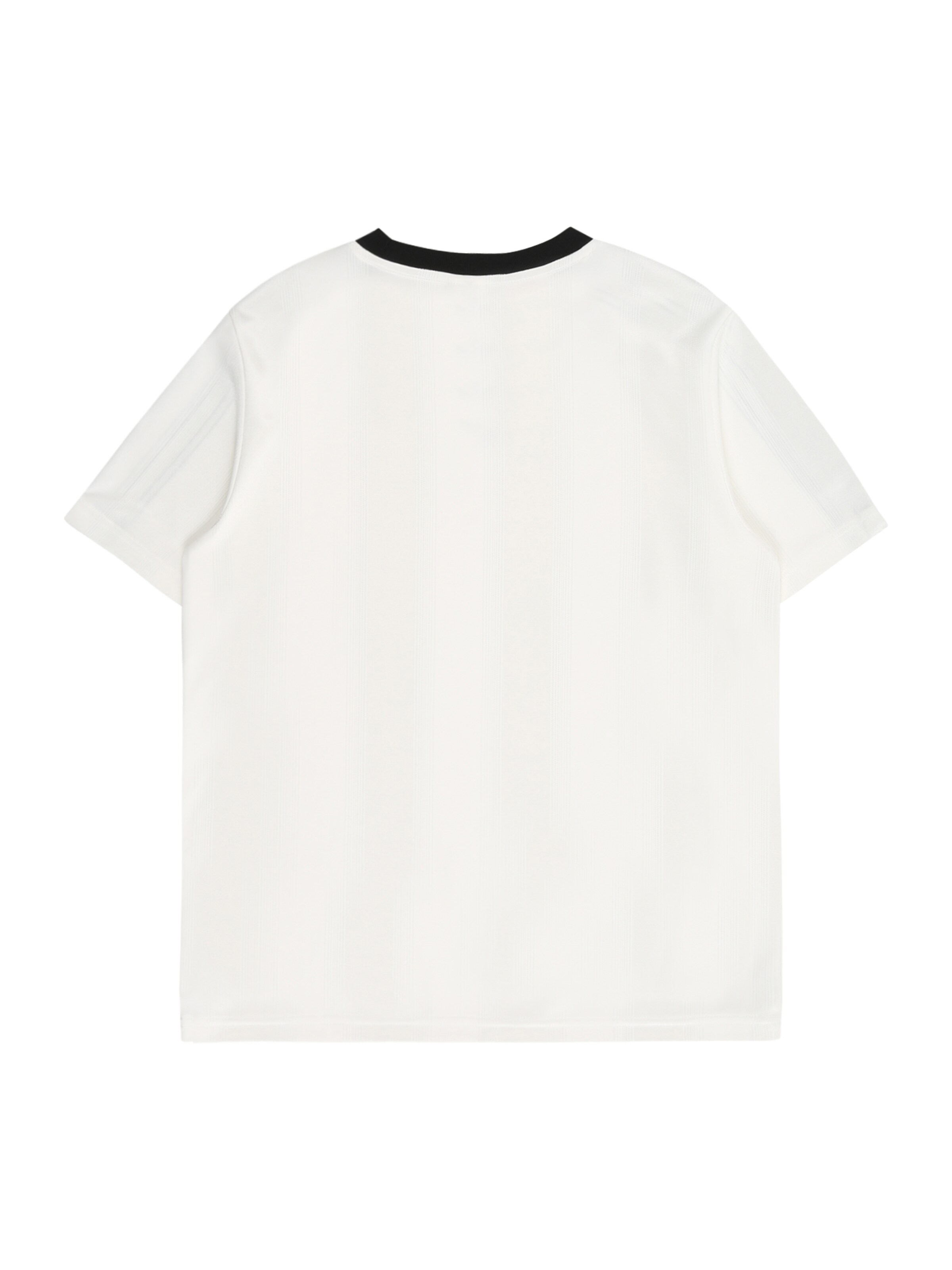 ADIDAS ORIGINALS Футболка в Белый