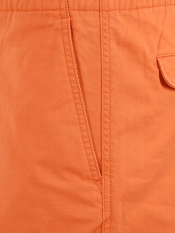 Regular Pantalon chino 'REPSTERS' Polo Ralph Lauren en rose