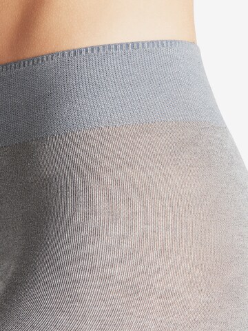 Collant di FALKE in grigio