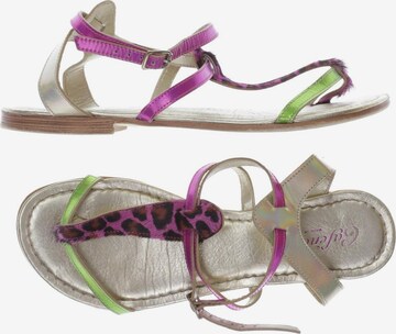 CAFÈNOIR Sandals & High-Heeled Sandals in 38 in Purple: front
