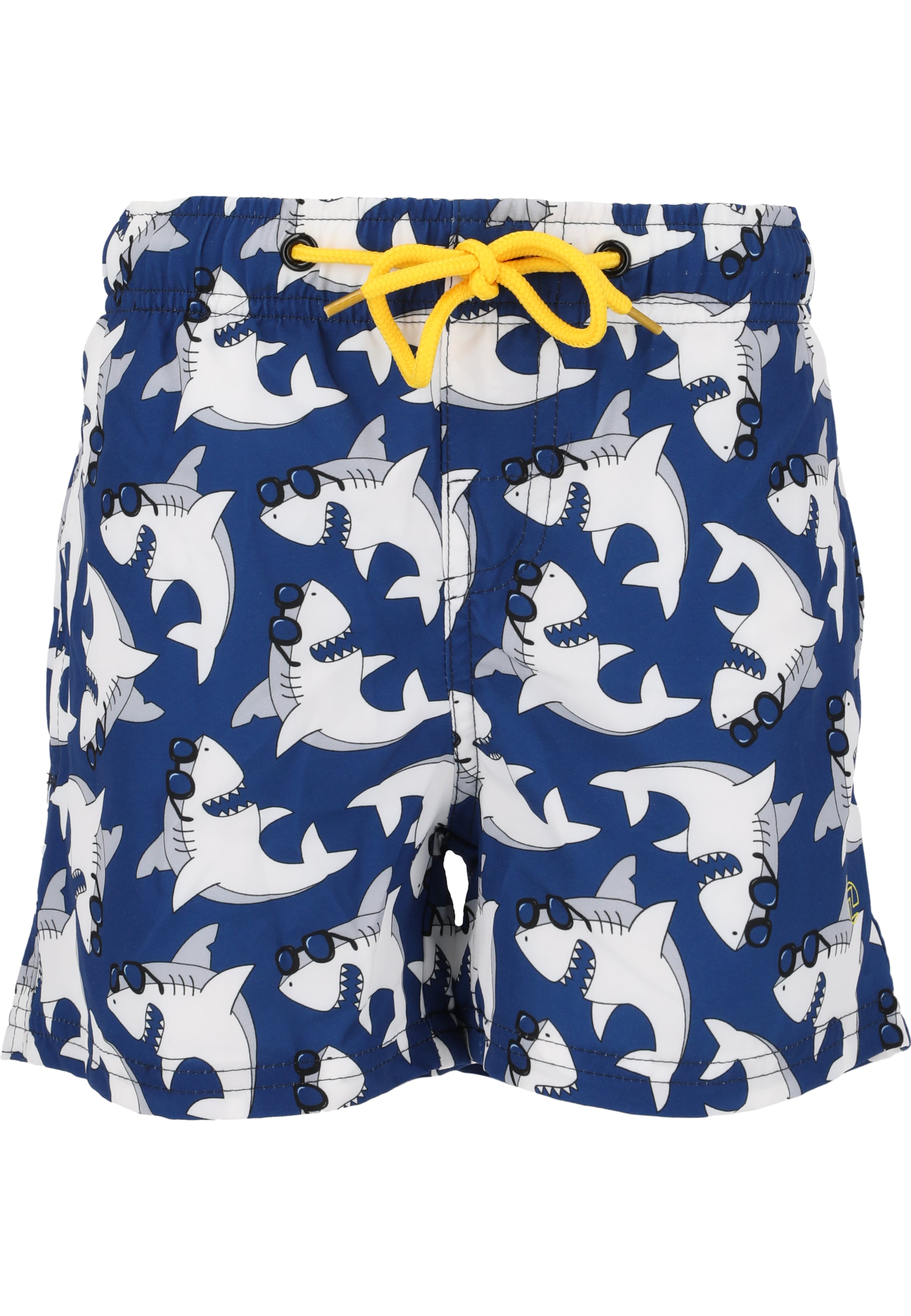 ZigZag Board Shorts 'Ruben' in Blue: front