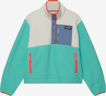 Superdry & Co Sweater in Green: front