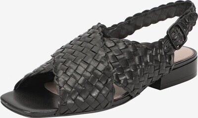 Ekonika Sandalen in schwarz, Produktansicht