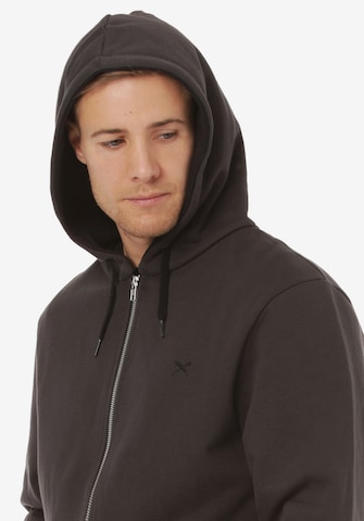 Iriedaily Zip-Up Hoodie in Grey