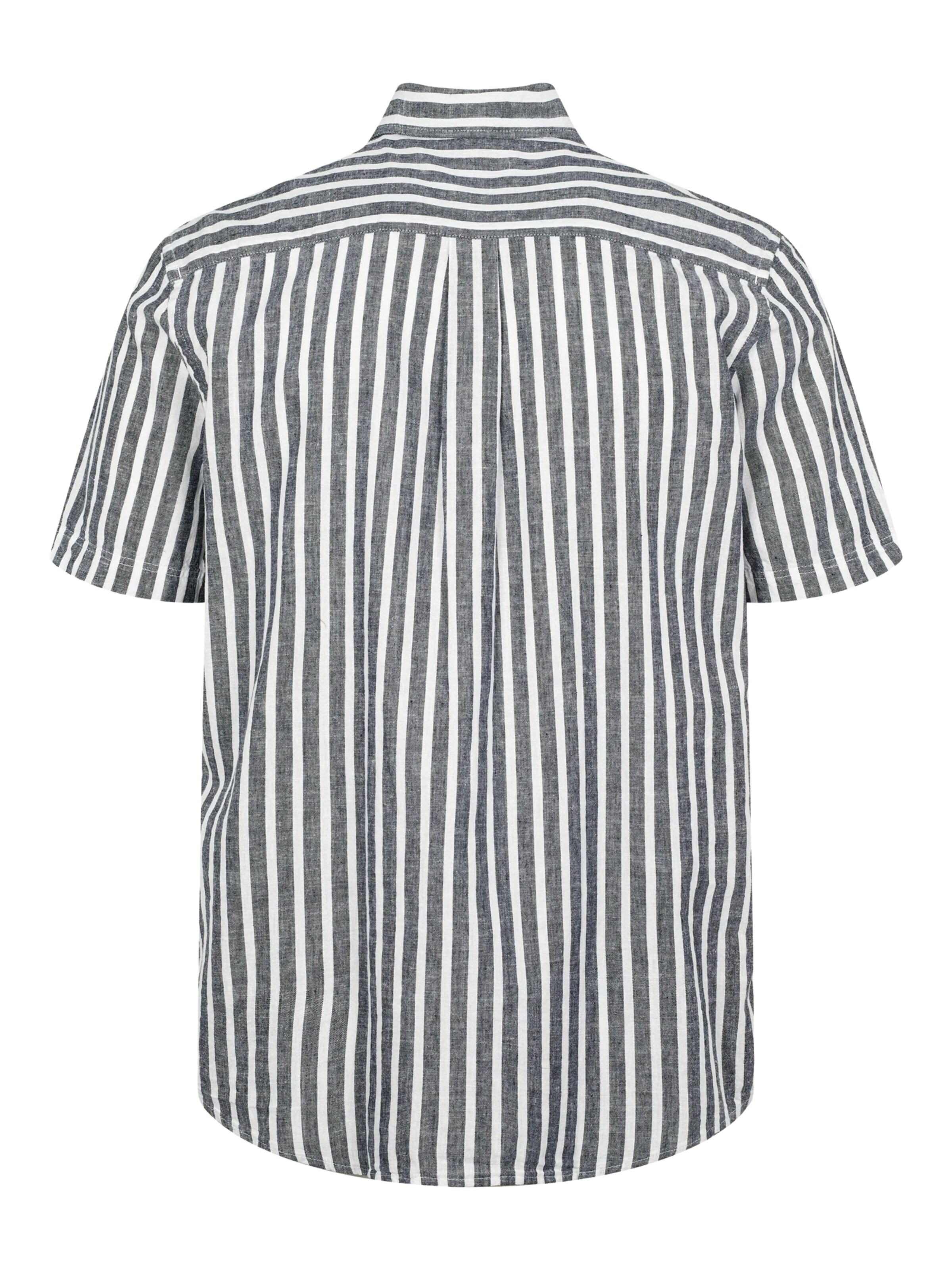 U.S. POLO ASSN. Regular fit Button Up Shirt 'UMMarli' in Blue