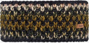 Barts Headband in Mixed colors: front