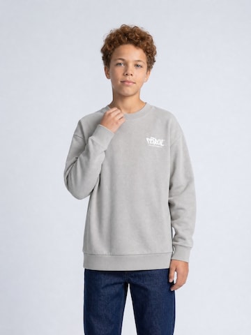 Petrol Industries Sweatshirt in Grau: Vorderseite