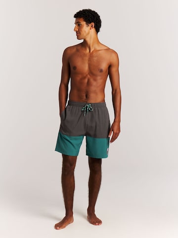 PROTEST Board Shorts 'Cabus' in Green