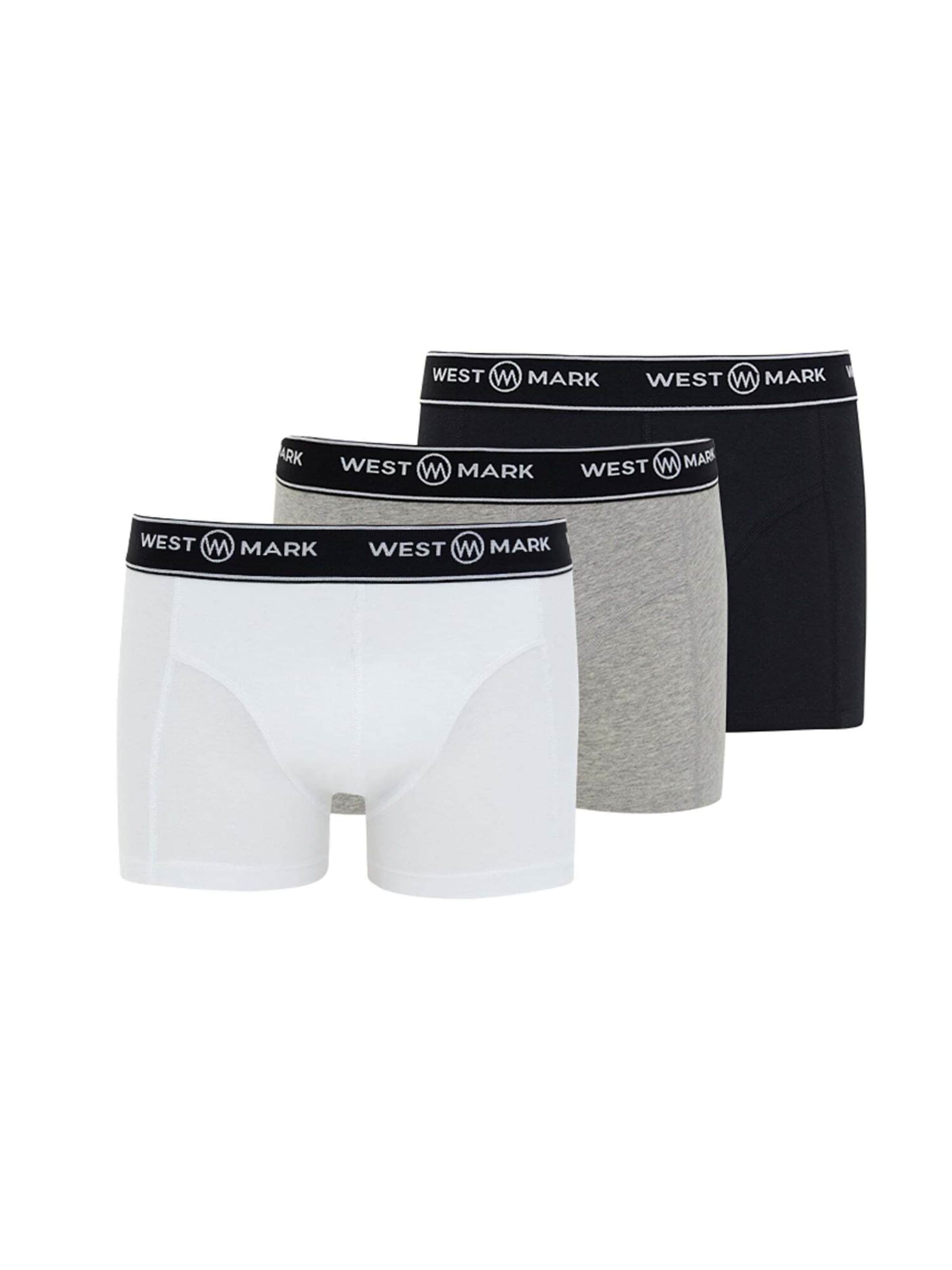 Boxer 'Atlas' di WESTMARK LONDON in grigio: frontale