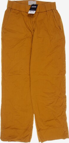 Everlane Pants in XL in Orange: front