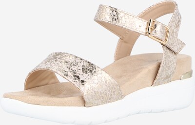 Sandalo 'ANOKI' MARIAMARE di colore beige / nero, Visualizzazione prodotti
