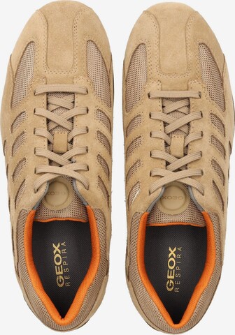 Sneaker bassa di GEOX in beige