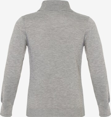 CIPO & BAXX Sweater in Grey