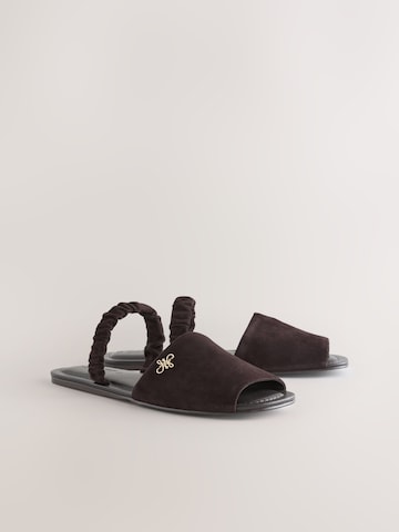 Next Mules in Brown