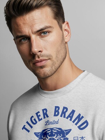 Neverless Sweatshirt 'Tiger' in Grey