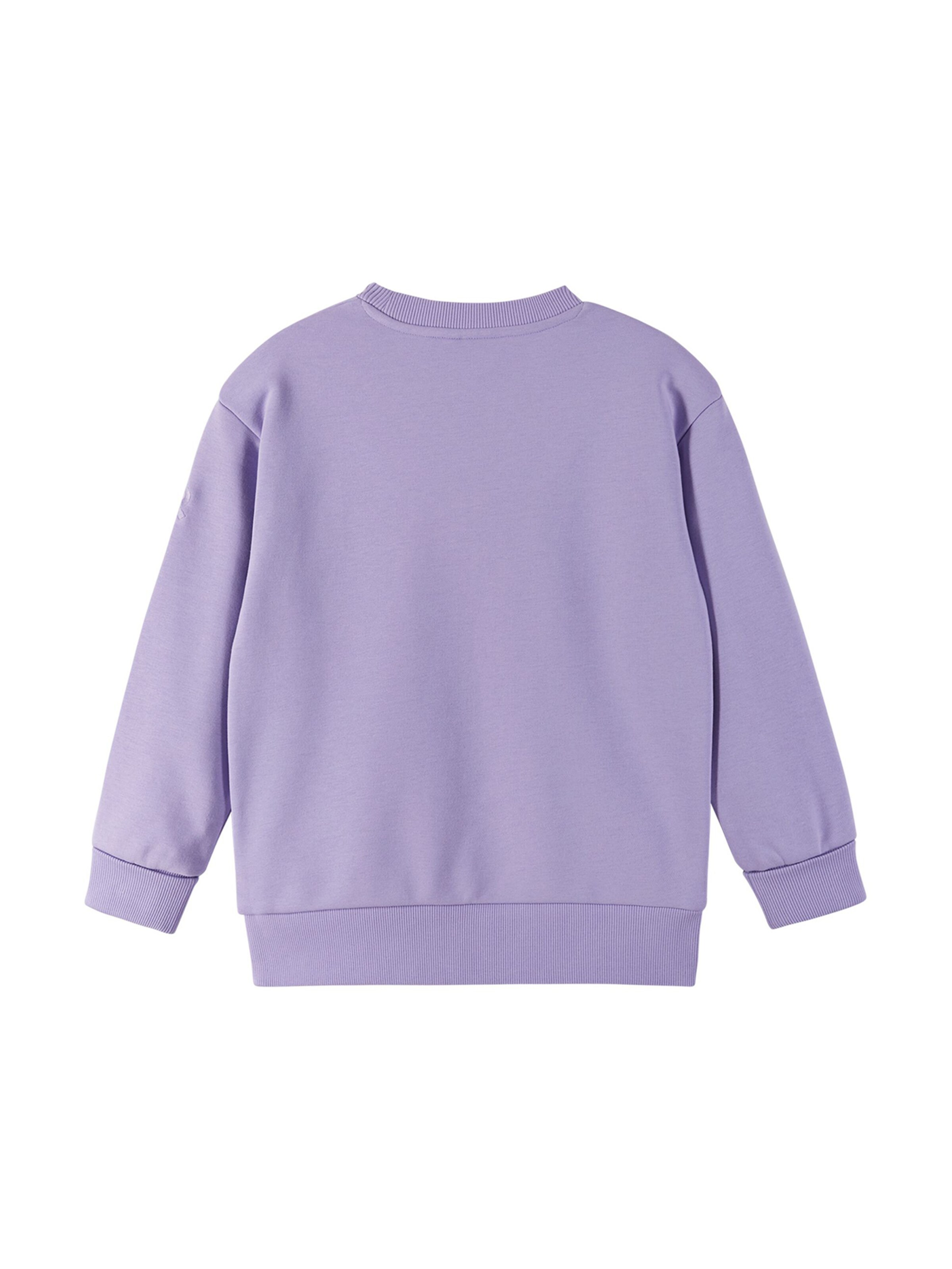 Reima Sweatshirt ' Svetari ' in Purple