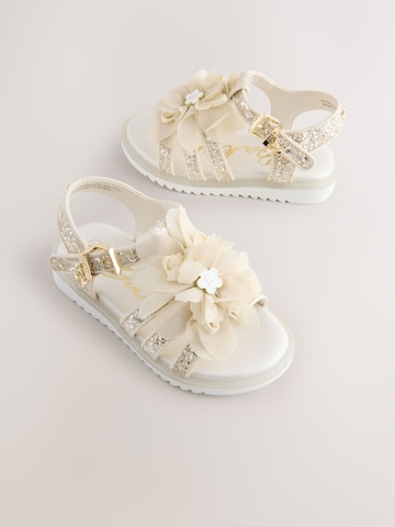 Baker by Ted Baker Sandalen in Goud