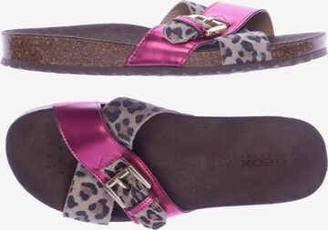 GEOX Sandalen 37 in Pink: predná strana