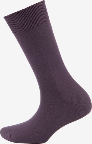 camano Socken in Mischfarben