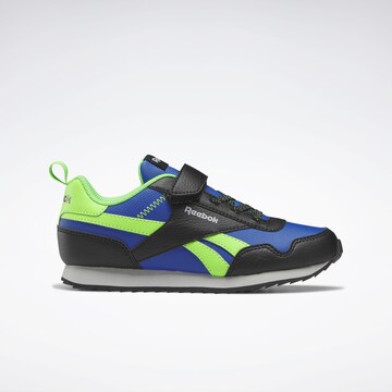 Reebok Sneakers 'Royal Classic' in Mixed colors