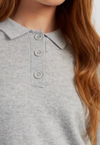 Chinti & Parker Pullover 'Basics' i grå