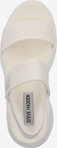 STEVE MADDEN Strap Sandals in White