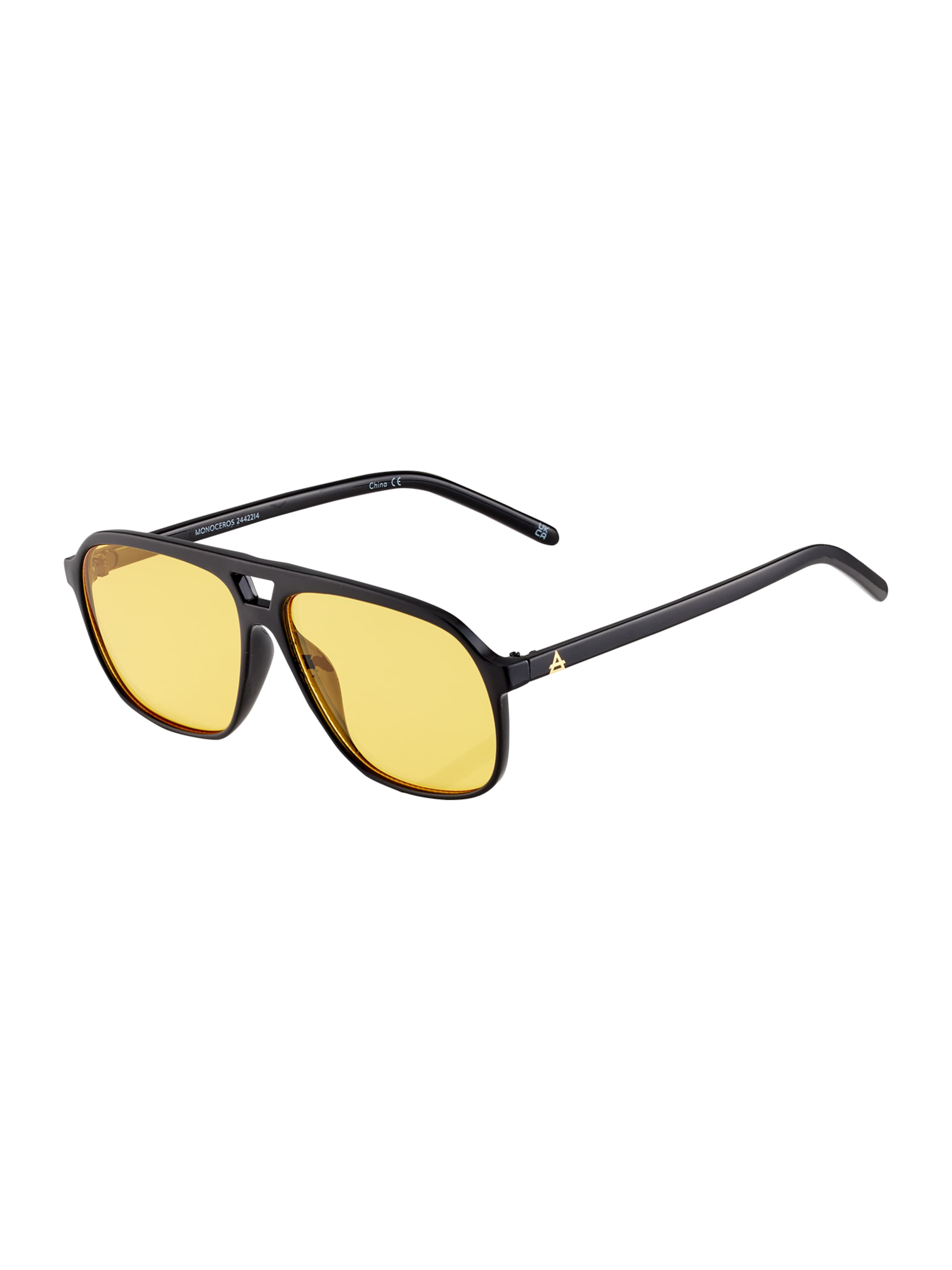 Aire Sunglasses 'MONOCEROS' in Black: front